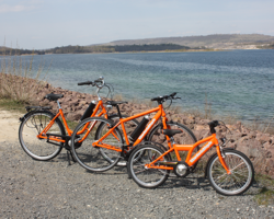 Fahrradverleih Geiseltalsee Braunsbedra