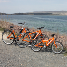 Fahrradverleih Geiseltalsee Braunsbedra